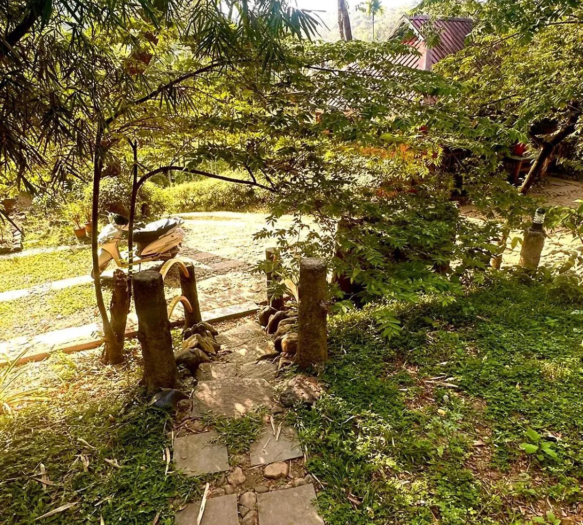 Pugmarks Jungle Lodge Chegat 3*,