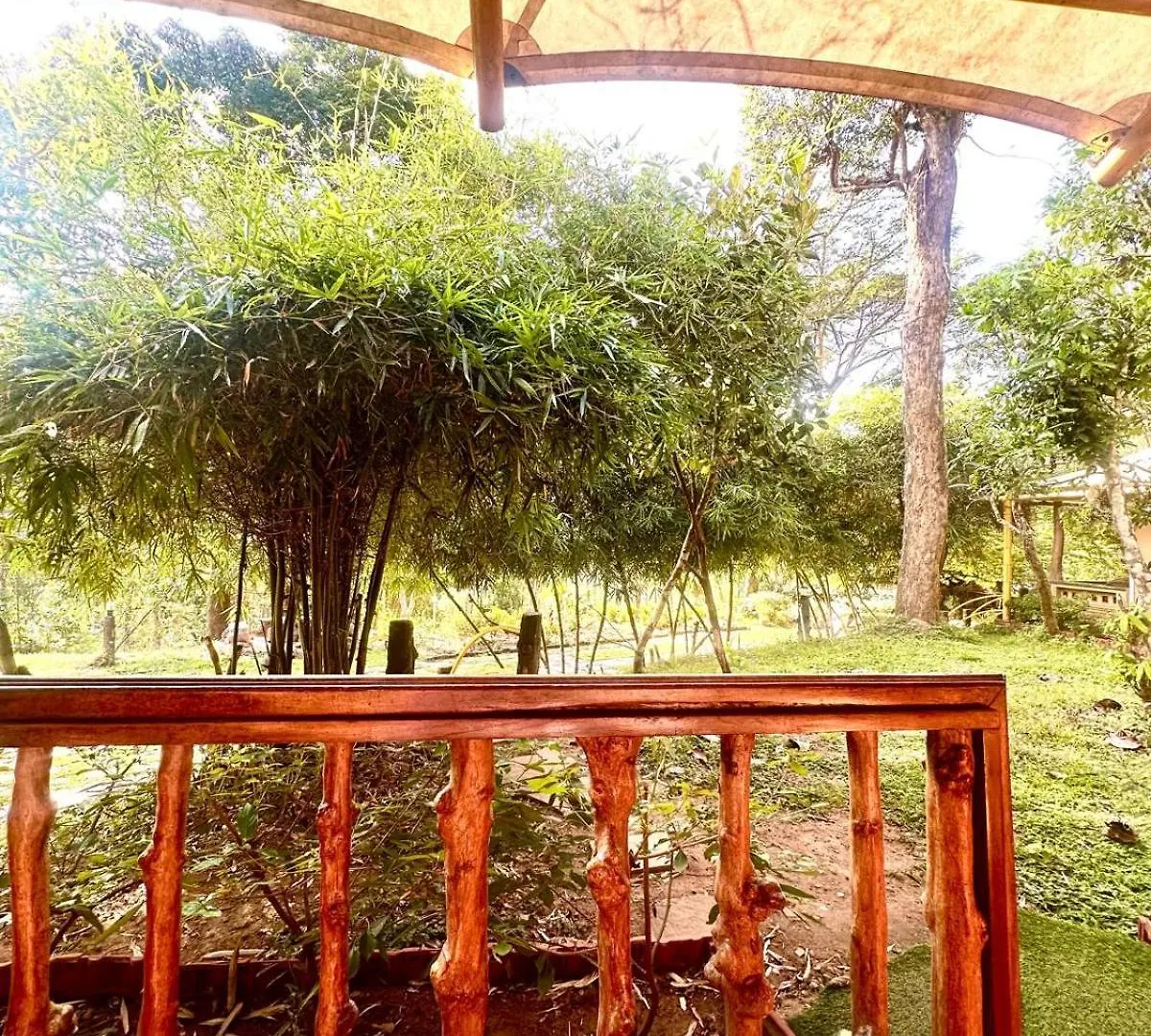 Pugmarks Jungle Lodge Chegat Resort